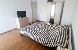 Apartament 2 camere, 53 mp, utilat, mobilat, in zona Muzeul Apei
