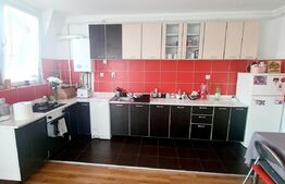 Apartament 2 camere, 53 mp, utilat, mobilat, in zona Muzeul Apei