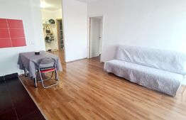 Apartament 2 camere, 53 mp, utilat, mobilat, in zona Muzeul Apei