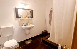 Apartament 2 camere, 53 mp, utilat, mobilat, in zona Muzeul Apei