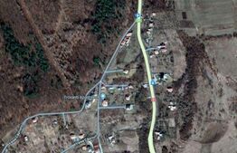 Teren intravilan, 3000 mp front generos, Valea Capriorii