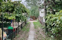 Casa individuala 52 mp, teren 625 mp, zona Someseni