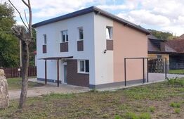 Casa individuala, 130 mp utili, 550 mp teren, 74.000 Euro, Faureni 