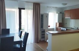 Apartament 2 camere, 52 mp, etaj intermediar, zona Teilor