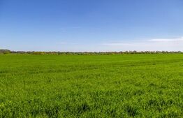 Teren cu cladire demolabila,  pentru hala, zona Plevnei 