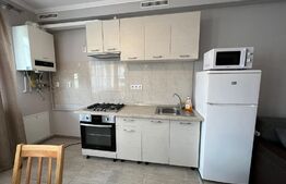 Apartament 2 camere, 56 mp, renovat, zona Sub Cetate