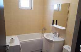 Inchiriere apartament cu 1 camera, 33 mp, decomandat, zona strazii Porii!