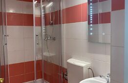 Apartament de o camera, 40mp, decomandat, Zona Ultracentrala