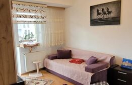 Apartament 2 camere, balcon, parcare+garaj, zona Teilor