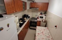 Apartament 2 camere, balcon, parcare+garaj, zona Teilor