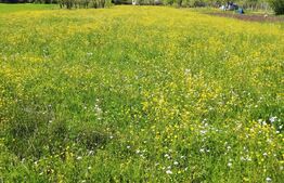 Teren intravilan de 3100 mp, Huedin