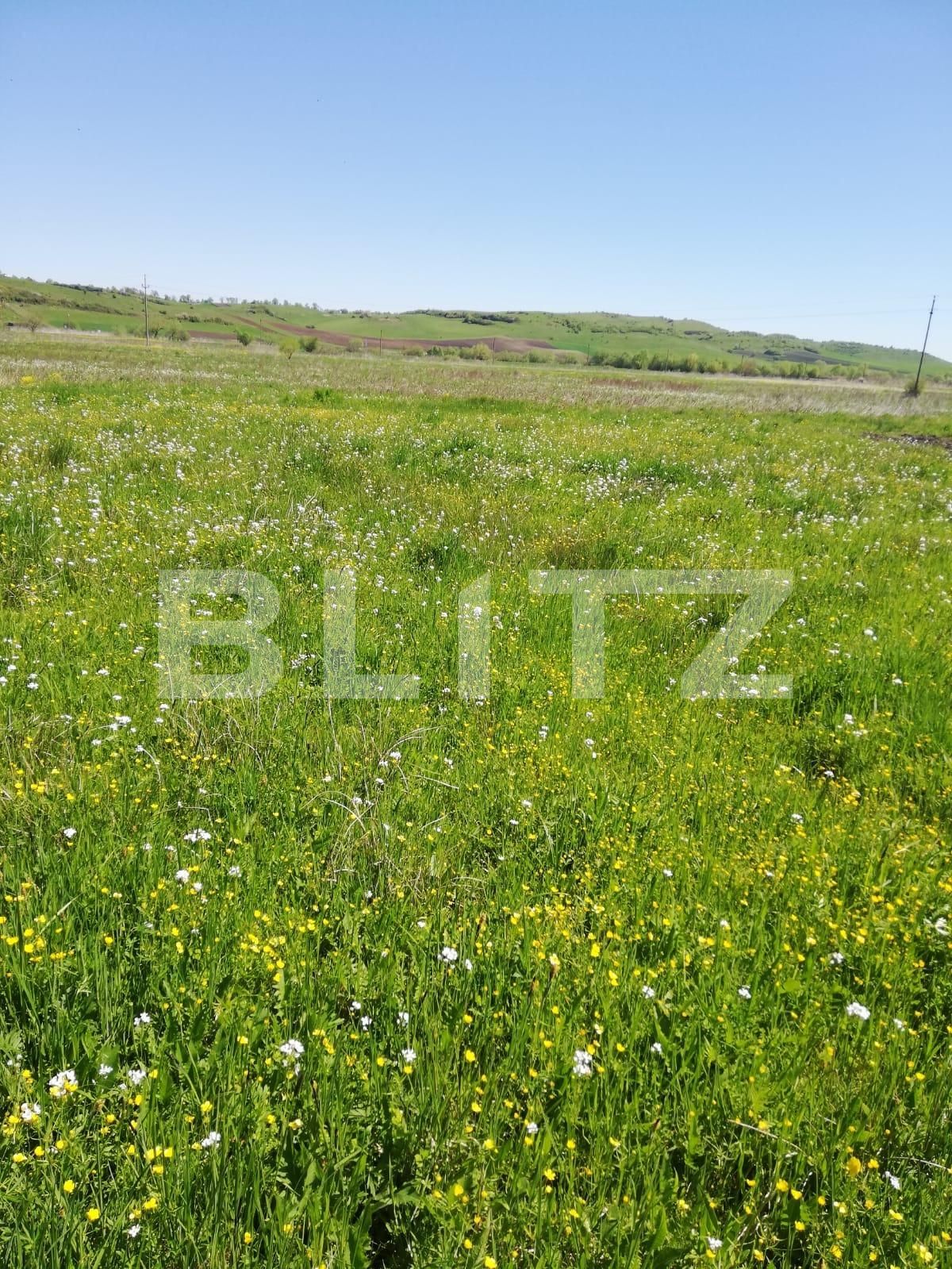 Teren de vânzare Exterior Vest - 96255TV | BLITZ Cluj-Napoca | Poza3