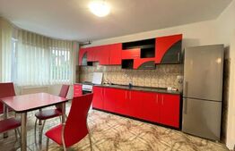 Casa individuala 254 mp, 5 parcari, zona Piata Engels