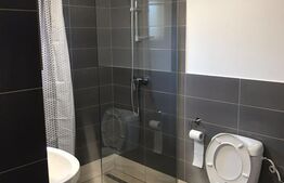 Casa individuala 150 mp, 5 camere,  Luna de Sus