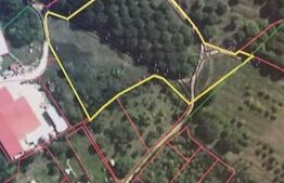 Teren de 13000 mp, front peste 50 ml, Suceagu