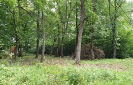 Oportunitate! Teren intravilan, 506 mp, certificat de urbanism, zona ANL