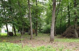 Oportunitate! Teren intravilan, 506 mp, certificat de urbanism, zona ANL