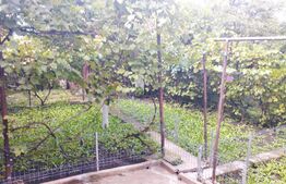 Casa individuala, 118 mp, 424 mp teren, Andrei Muresanu