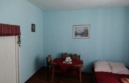 Casa individuala, 118 mp, 424 mp teren, Andrei Muresanu