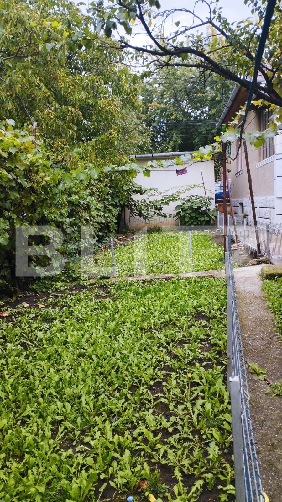 Casa de vânzare 3 camere Andrei Mureşanu - 96359CV | BLITZ Cluj-Napoca | Poza10