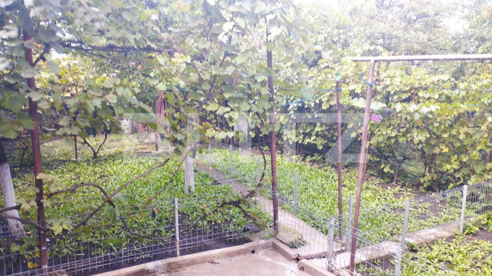 Casa de vânzare 3 camere Andrei Mureşanu - 96359CV | BLITZ Cluj-Napoca | Poza9