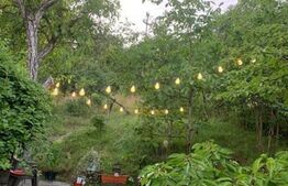 Investitie ! Teren intravilan 728 mp, Grigorescu ,panorama ! 