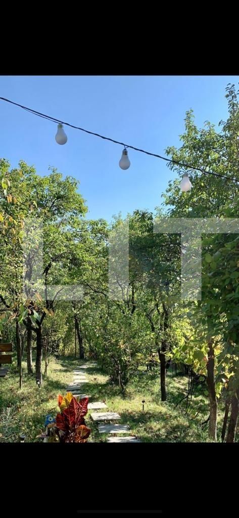 Teren de vânzare Grigorescu - 96368TV | BLITZ Cluj-Napoca | Poza3