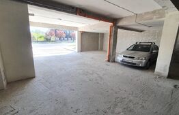 Spatiu comercial cu potential, 200 mp, Dambul Rotund