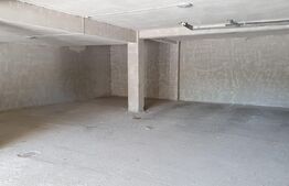 Spatiu comercial cu potential, 200 mp, Dambul Rotund