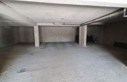 Spatiu comercial cu potential, 200 mp, Dambul Rotund