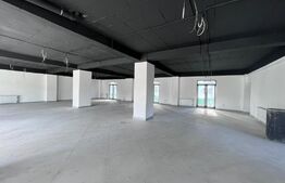 Spatiu comercial, 282 mp, bloc nou, zona Coneliu Coposu