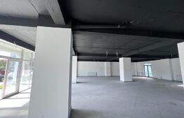 Spatiu comercial, 282 mp, bloc nou, zona Coneliu Coposu