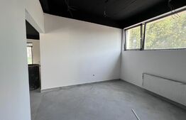 Spatiu comercial, 282 mp, bloc nou, zona Coneliu Coposu