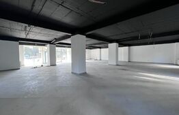 Spatiu comercial, 282 mp, bloc nou, zona Coneliu Coposu