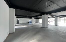 Spatiu comercial, 282 mp, bloc nou, zona Coneliu Coposu