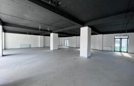 Spatiu comercial, 282 mp, bloc nou, zona Coneliu Coposu