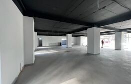 Spatiu comercial, 282 mp, bloc nou, zona Coneliu Coposu