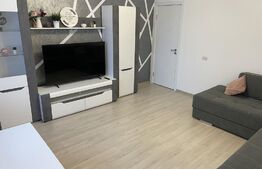 Apartament 2 camere, 60 mp, mobilat/utilat, zona de Nord