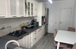 Apartament 2 camere, 60 mp, mobilat/utilat, zona de Nord