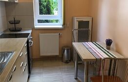 Apartament 1 camera, 42 mp, mobilat/utilat, zona Avantgarden