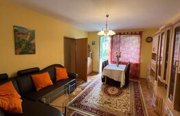 Apartament 2 camere, 50 mp, etaj intermediar, zona Centrala