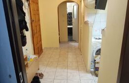 Apartament de 2 camere, 54 mp, mobilat/utilat, cartier Intre Lacuri