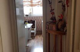 Apartament 2 camere, 45 mp, mobilat/utilat, zona 13 Decembrie