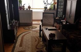 Apartament 2 camere, 45 mp, mobilat/utilat, zona 13 Decembrie