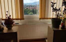 Apartament 2 camere, 45 mp, mobilat/utilat, zona 13 Decembrie