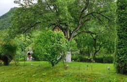 Casa 240 mp, teren 443 mp, mobilata/utilata, Schei