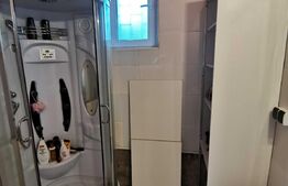 Apartament la casa, 2 camere, 70 mp, teren 216 mp, Faget