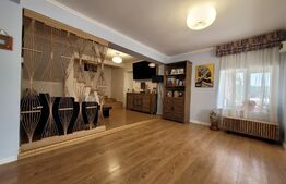 Casa de 220 mp, teren 1350 mp, in Salicea