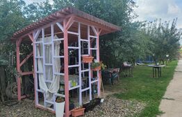 Casa de 220 mp, teren 1350 mp, in Salicea