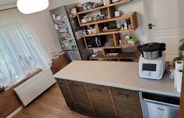 Casa de 220 mp, teren 1350 mp, in Salicea